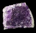 Deep Purple Amethyst Cluster - Uruguay #43169-1